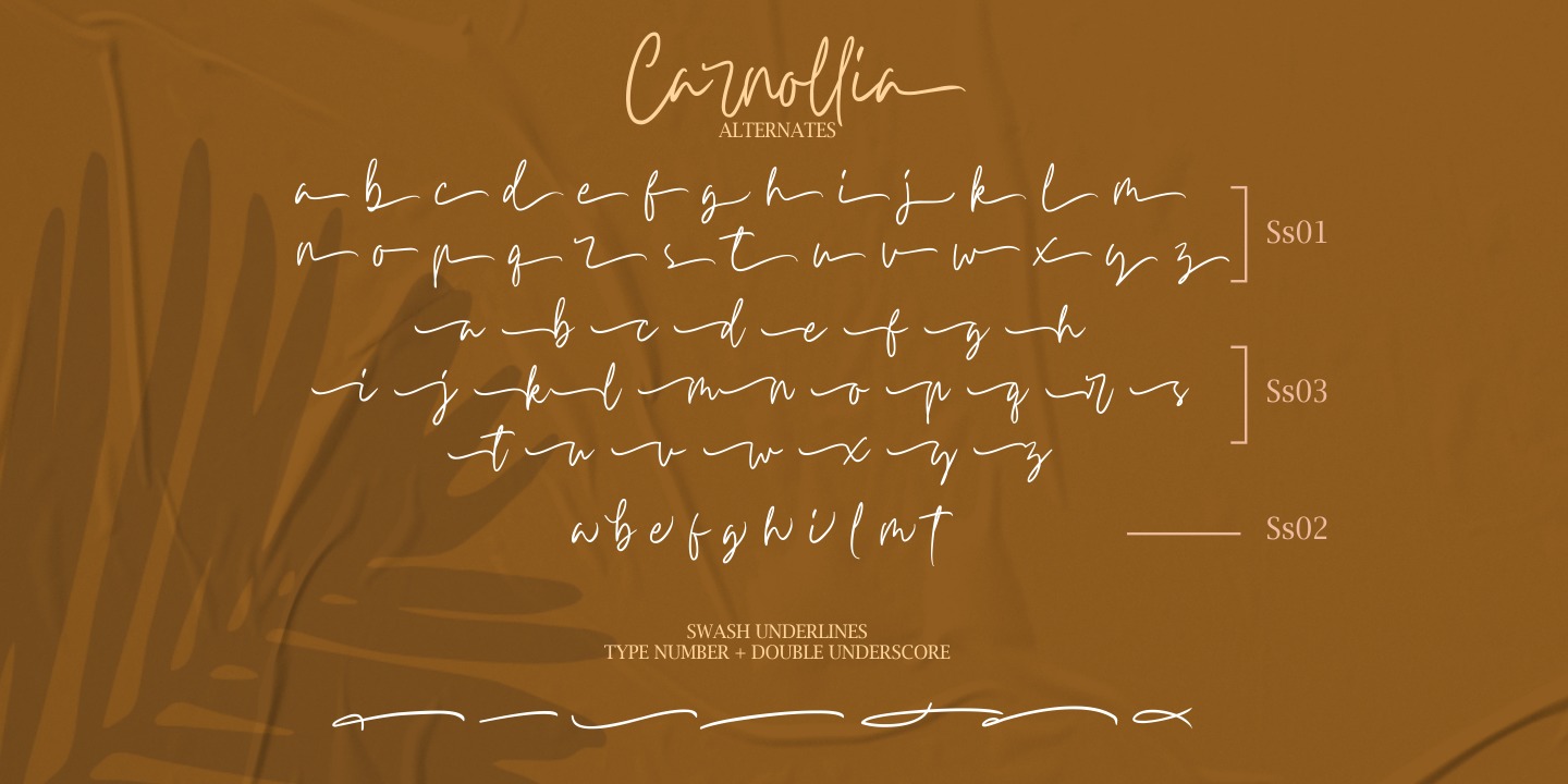 Пример шрифта Carnollia Signature Regular